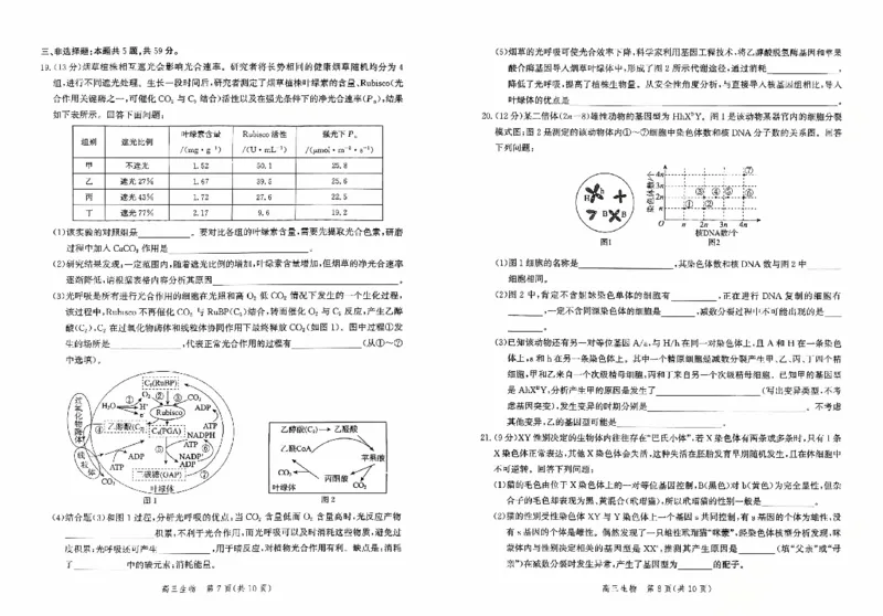 河北省2026届高三年级阶段性联合测评生物_2025年10月_251022河北省2026届高三年级阶段性联合测评（全科）