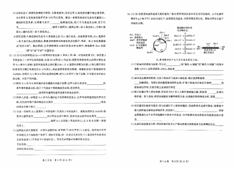 河北省2026届高三年级阶段性联合测评生物_2025年10月_251022河北省2026届高三年级阶段性联合测评（全科）