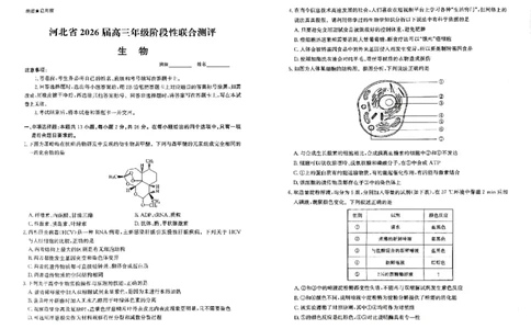 河北省2026届高三年级阶段性联合测评生物_2025年10月_251022河北省2026届高三年级阶段性联合测评（全科）