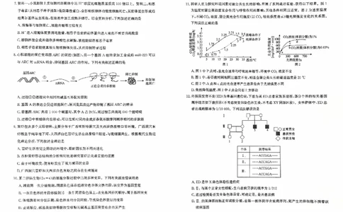河北省2026届高三年级阶段性联合测评生物_2025年10月_251022河北省2026届高三年级阶段性联合测评（全科）