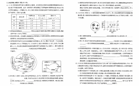 河北省2026届高三年级阶段性联合测评生物_2025年10月_251022河北省2026届高三年级阶段性联合测评（全科）