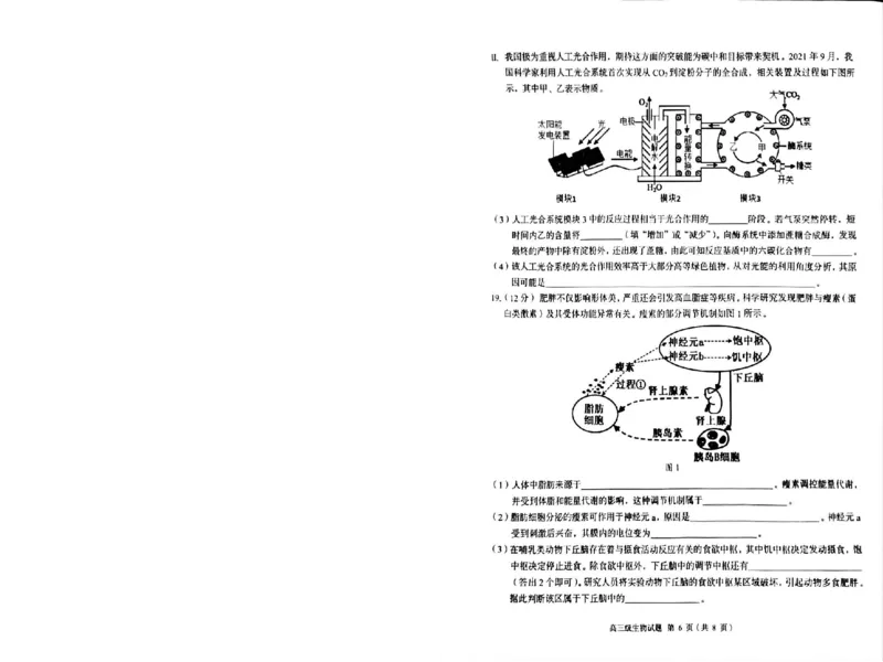 广东省潮州市2024-2025学年度第一学期期末高三级教学质量检测卷生物_2025年1月_250123广东省潮州市2024-2025学年度第一学期期末高三级教学质量检测卷（全科）