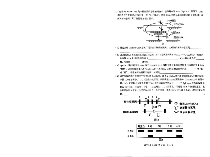 广东省潮州市2024-2025学年度第一学期期末高三级教学质量检测卷生物_2025年1月_250123广东省潮州市2024-2025学年度第一学期期末高三级教学质量检测卷（全科）