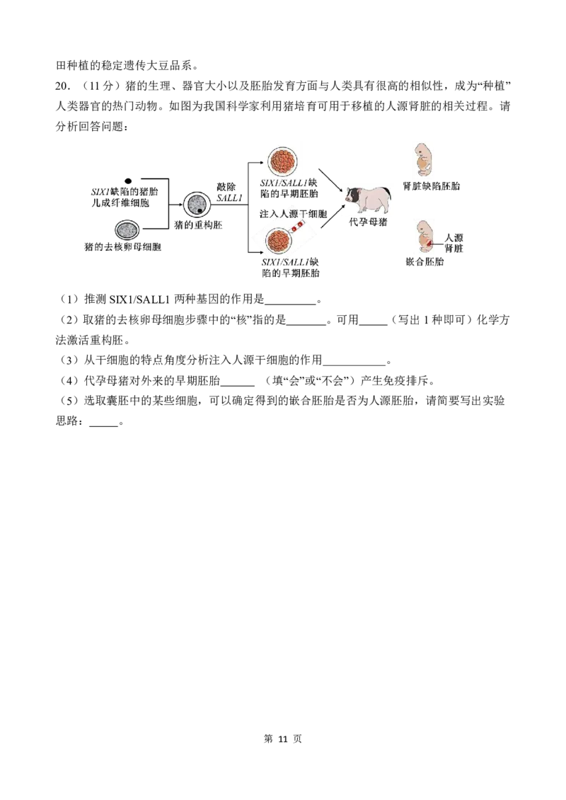 重庆市第八中学校2024-2025学年高三下学期入学适应性训练生物_2025年2月_250208重庆市第八中学校2024-2025学年高三下学期入学适应性训练（全科）