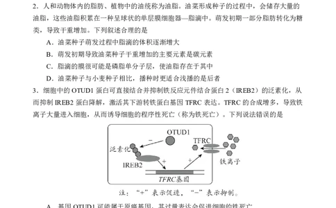 重庆市第八中学校2024-2025学年高三下学期入学适应性训练生物_2025年2月_250208重庆市第八中学校2024-2025学年高三下学期入学适应性训练（全科）