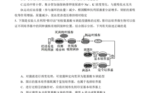 重庆市第八中学校2024-2025学年高三下学期入学适应性训练生物_2025年2月_250208重庆市第八中学校2024-2025学年高三下学期入学适应性训练（全科）