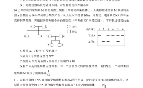 重庆市第八中学校2024-2025学年高三下学期入学适应性训练生物_2025年2月_250208重庆市第八中学校2024-2025学年高三下学期入学适应性训练（全科）