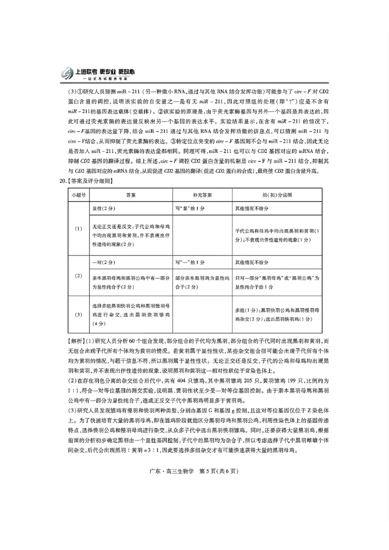 广东领航高中联盟2025届高三下学期2月联考生物+答案_2025年2月_250212广东省领航高中联盟2025届高三下学期2月开学考(1)