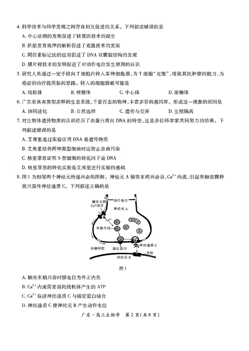 广东领航高中联盟2025届高三下学期2月联考生物+答案_2025年2月_250212广东省领航高中联盟2025届高三下学期2月开学考(1)
