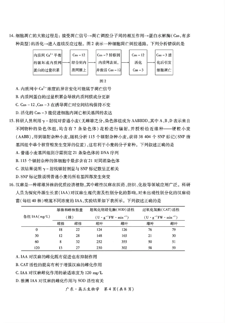 广东领航高中联盟2025届高三下学期2月联考生物+答案_2025年2月_250212广东省领航高中联盟2025届高三下学期2月开学考(1)