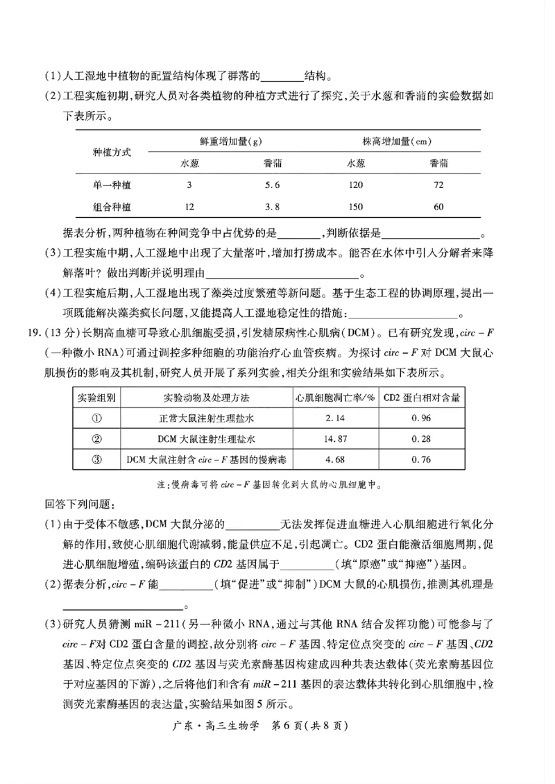 广东领航高中联盟2025届高三下学期2月联考生物+答案_2025年2月_250212广东省领航高中联盟2025届高三下学期2月开学考(1)
