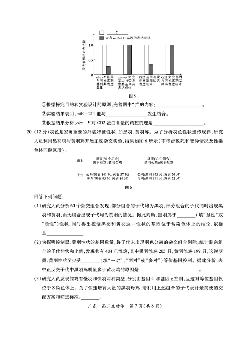 广东领航高中联盟2025届高三下学期2月联考生物+答案_2025年2月_250212广东省领航高中联盟2025届高三下学期2月开学考(1)