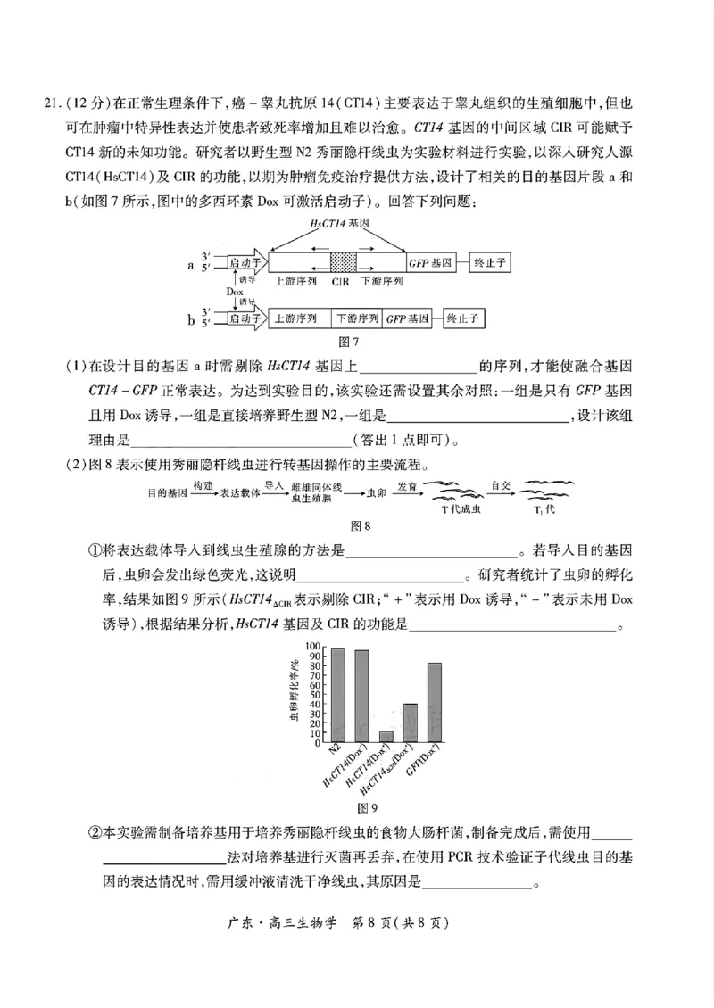 广东领航高中联盟2025届高三下学期2月联考生物+答案_2025年2月_250212广东省领航高中联盟2025届高三下学期2月开学考(1)