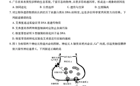 广东领航高中联盟2025届高三下学期2月联考生物+答案_2025年2月_250212广东省领航高中联盟2025届高三下学期2月开学考(1)