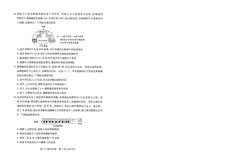 湖北省武汉市2025届高中毕业生四月调研考试生物_2025年4月_250418湖北省武汉市2025届高中毕业生四月调研考试（全科）_湖北省武汉市2025届高中毕业生四月调研考试生物