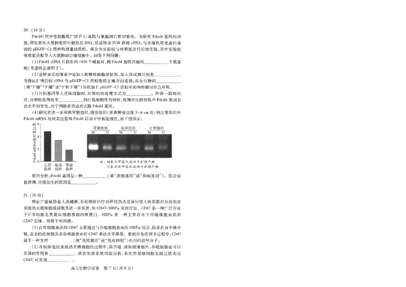 湖北省武汉市2025届高中毕业生四月调研考试生物_2025年4月_250418湖北省武汉市2025届高中毕业生四月调研考试（全科）_湖北省武汉市2025届高中毕业生四月调研考试生物