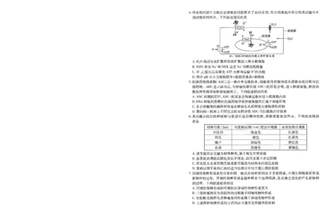 湖北省武汉市2025届高中毕业生四月调研考试生物_2025年4月_250418湖北省武汉市2025届高中毕业生四月调研考试（全科）_湖北省武汉市2025届高中毕业生四月调研考试生物