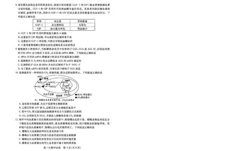 湖北省武汉市2025届高中毕业生四月调研考试生物_2025年4月_250418湖北省武汉市2025届高中毕业生四月调研考试（全科）_湖北省武汉市2025届高中毕业生四月调研考试生物