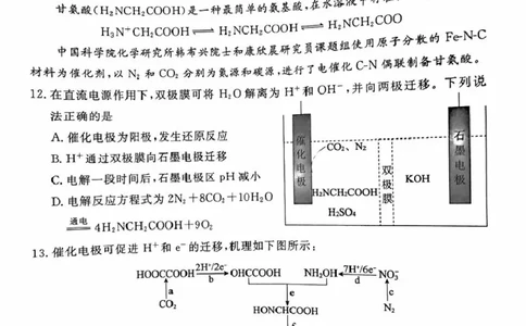 河北省唐山市2024-2025学年高三上学期1月期末考试化学试题（无答案）_2025年1月_250110河北省唐山市2024-2025学年高三上学期1月期末考试（全科）