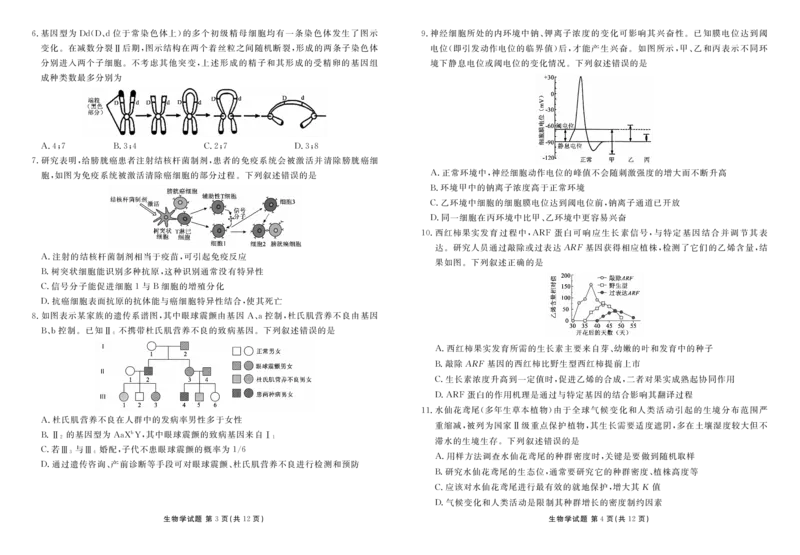 山东省菏泽市2024-2025学年高三上学期1月期末生物_2025年1月_250121山东省菏泽市2024-2025学年高三上学期1月期末试题（全科）_山东省菏泽市2024-2025学年高三上学期1月期末生物