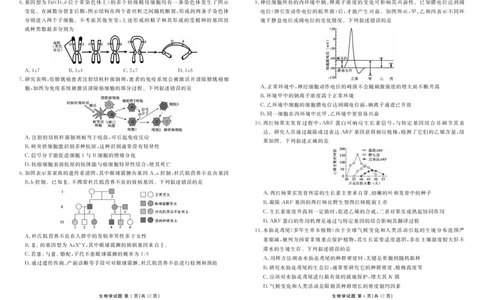 山东省菏泽市2024-2025学年高三上学期1月期末生物_2025年1月_250121山东省菏泽市2024-2025学年高三上学期1月期末试题（全科）_山东省菏泽市2024-2025学年高三上学期1月期末生物