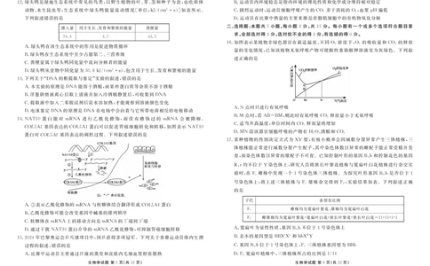 山东省菏泽市2024-2025学年高三上学期1月期末生物_2025年1月_250121山东省菏泽市2024-2025学年高三上学期1月期末试题（全科）_山东省菏泽市2024-2025学年高三上学期1月期末生物