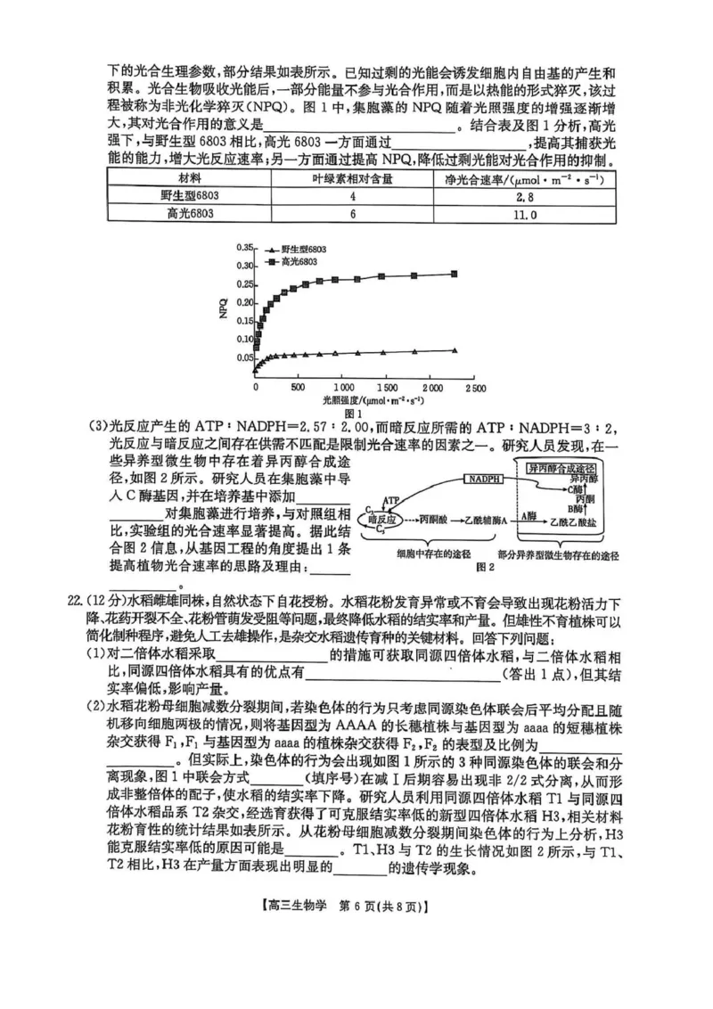 高三生物高三生物_2025年4月_250408全国优创名校金太阳联考暨山西江西河南辽宁金太阳高三4月联考_生物试题（含解析）