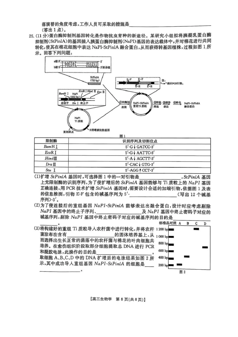 高三生物高三生物_2025年4月_250408全国优创名校金太阳联考暨山西江西河南辽宁金太阳高三4月联考_生物试题（含解析）