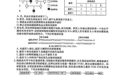 高三生物高三生物_2025年4月_250408全国优创名校金太阳联考暨山西江西河南辽宁金太阳高三4月联考_生物试题（含解析）