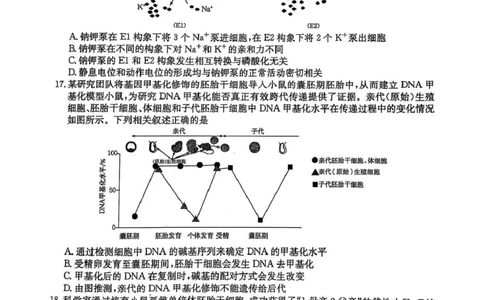 高三生物高三生物_2025年4月_250408全国优创名校金太阳联考暨山西江西河南辽宁金太阳高三4月联考_生物试题（含解析）
