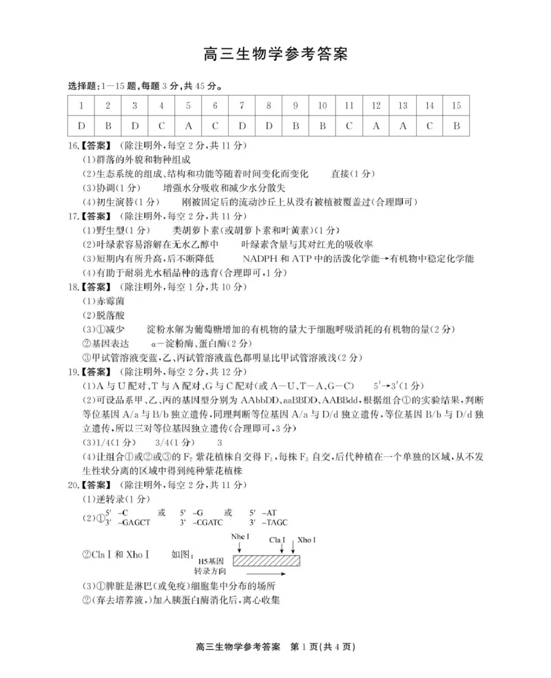 参考答案_2025年5月_2505132025届安徽省鼎尖名校联盟高三5月预测联考（全科）_2025届安徽省高三下学期鼎尖预测大联考生物试题