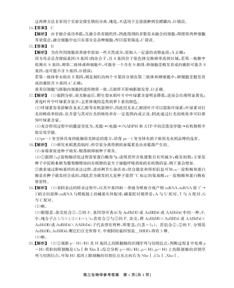 参考答案_2025年5月_2505132025届安徽省鼎尖名校联盟高三5月预测联考（全科）_2025届安徽省高三下学期鼎尖预测大联考生物试题