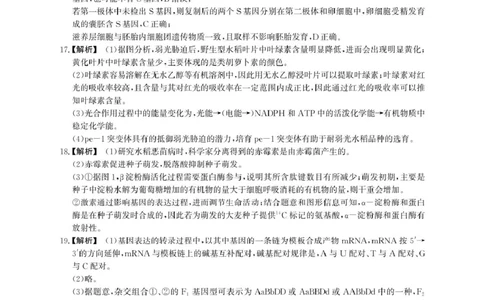 参考答案_2025年5月_2505132025届安徽省鼎尖名校联盟高三5月预测联考（全科）_2025届安徽省高三下学期鼎尖预测大联考生物试题