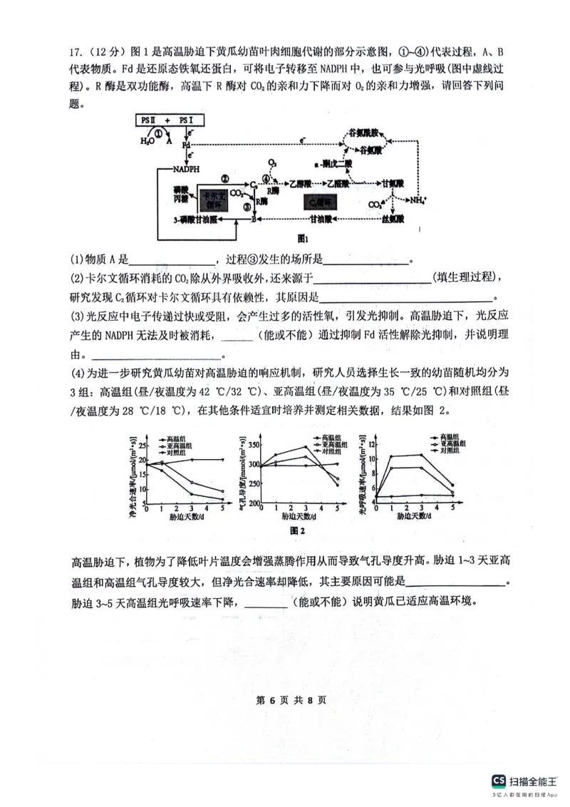 绵阳南山中学高2023级&ldquo;绵阳一诊&rdquo;热身考试生物_2025年10月_251028四川省绵阳南山中学高2023级&ldquo;绵阳一诊&rdquo;热身考试