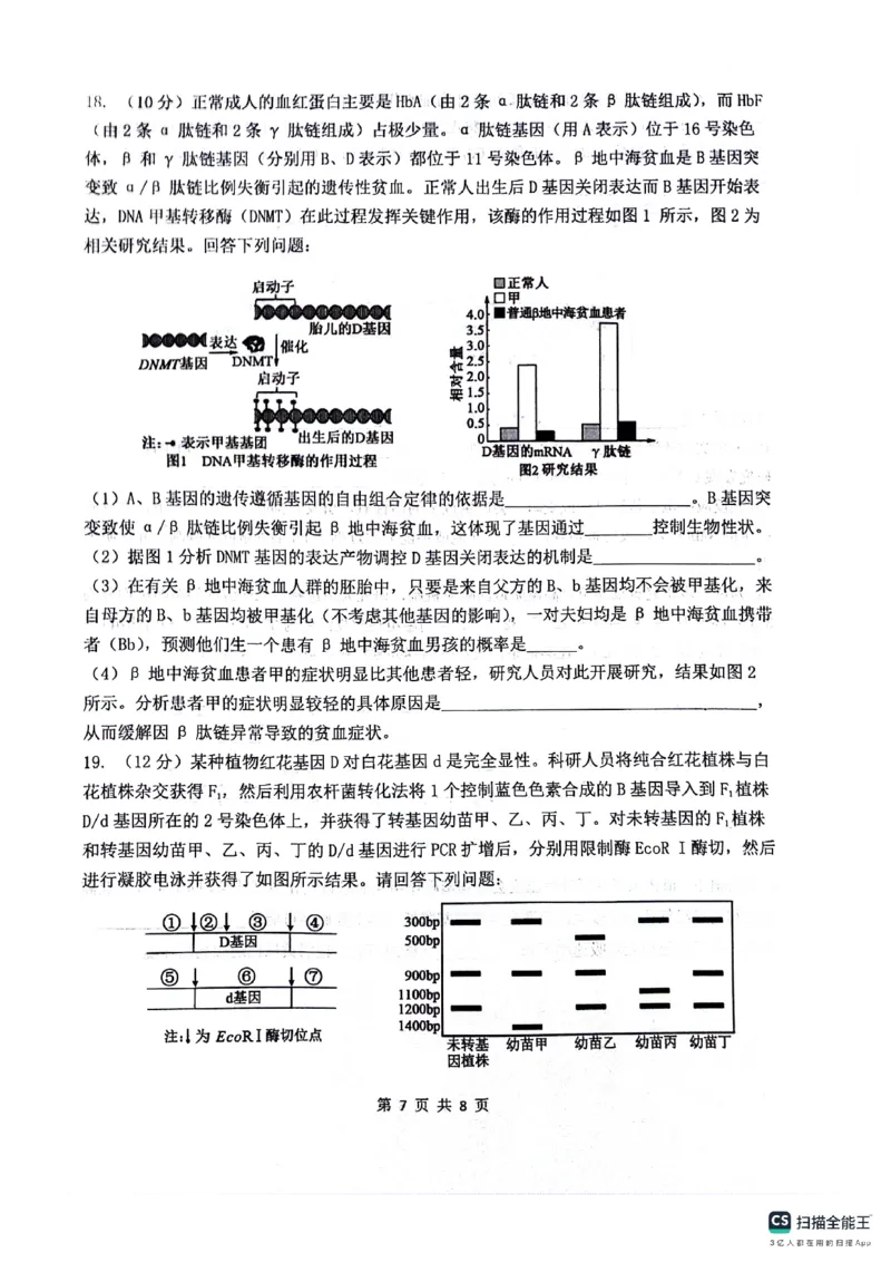绵阳南山中学高2023级&ldquo;绵阳一诊&rdquo;热身考试生物_2025年10月_251028四川省绵阳南山中学高2023级&ldquo;绵阳一诊&rdquo;热身考试