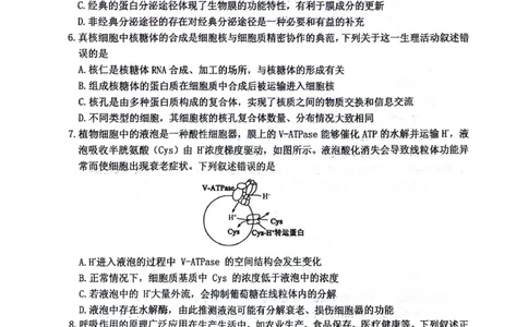 绵阳南山中学高2023级&ldquo;绵阳一诊&rdquo;热身考试生物_2025年10月_251028四川省绵阳南山中学高2023级&ldquo;绵阳一诊&rdquo;热身考试