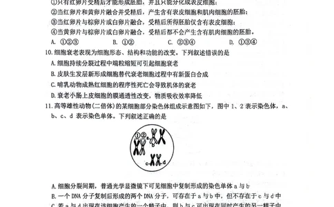 绵阳南山中学高2023级&ldquo;绵阳一诊&rdquo;热身考试生物_2025年10月_251028四川省绵阳南山中学高2023级&ldquo;绵阳一诊&rdquo;热身考试