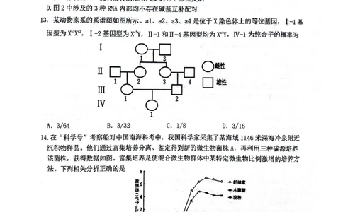 绵阳南山中学高2023级&ldquo;绵阳一诊&rdquo;热身考试生物_2025年10月_251028四川省绵阳南山中学高2023级&ldquo;绵阳一诊&rdquo;热身考试
