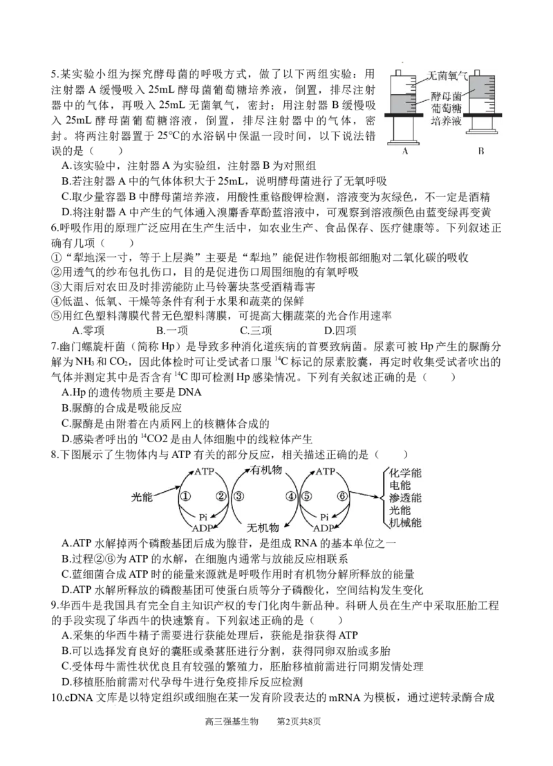 生物_2025年9月_250925四川省遂宁市射洪中学2026届高三上学期9月第一次模拟考试（全科）_四川省遂宁市射洪中学2026届高三上学期9月第一次模拟考试生物Word版含答案