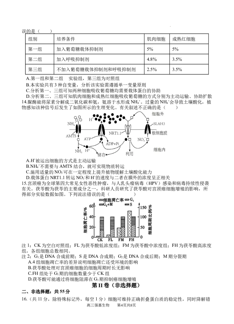 生物_2025年9月_250925四川省遂宁市射洪中学2026届高三上学期9月第一次模拟考试（全科）_四川省遂宁市射洪中学2026届高三上学期9月第一次模拟考试生物Word版含答案