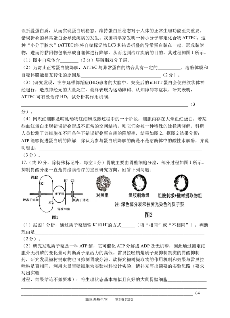 生物_2025年9月_250925四川省遂宁市射洪中学2026届高三上学期9月第一次模拟考试（全科）_四川省遂宁市射洪中学2026届高三上学期9月第一次模拟考试生物Word版含答案