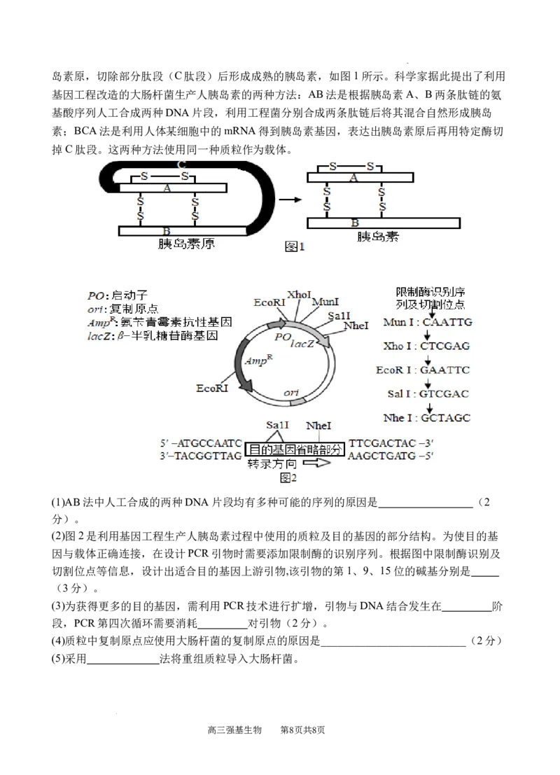 生物_2025年9月_250925四川省遂宁市射洪中学2026届高三上学期9月第一次模拟考试（全科）_四川省遂宁市射洪中学2026届高三上学期9月第一次模拟考试生物Word版含答案
