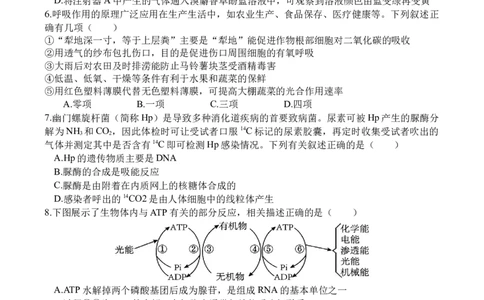 生物_2025年9月_250925四川省遂宁市射洪中学2026届高三上学期9月第一次模拟考试（全科）_四川省遂宁市射洪中学2026届高三上学期9月第一次模拟考试生物Word版含答案