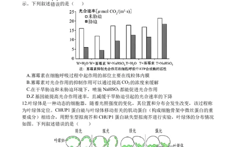 生物_2025年9月_250925四川省遂宁市射洪中学2026届高三上学期9月第一次模拟考试（全科）_四川省遂宁市射洪中学2026届高三上学期9月第一次模拟考试生物Word版含答案