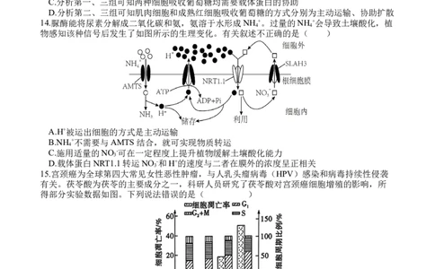 生物_2025年9月_250925四川省遂宁市射洪中学2026届高三上学期9月第一次模拟考试（全科）_四川省遂宁市射洪中学2026届高三上学期9月第一次模拟考试生物Word版含答案
