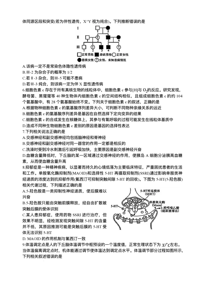 河南省2024-2025学年高三下学期金科新未来5月联考生物（含答案）_2025年5月_250520河南省金科新未来2025届高三下学期5月联考