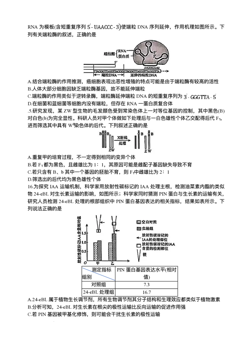 河南省2024-2025学年高三下学期金科新未来5月联考生物（含答案）_2025年5月_250520河南省金科新未来2025届高三下学期5月联考
