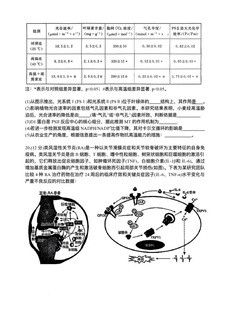 河南省2024-2025学年高三下学期金科新未来5月联考生物（含答案）_2025年5月_250520河南省金科新未来2025届高三下学期5月联考