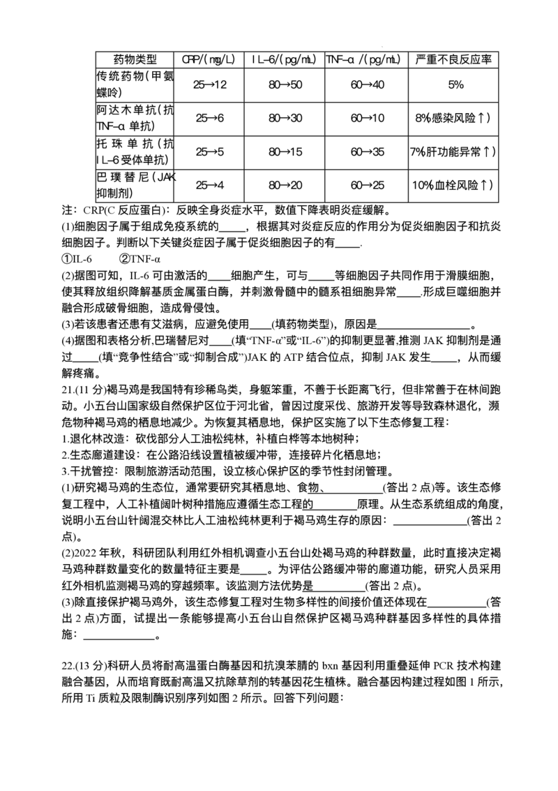 河南省2024-2025学年高三下学期金科新未来5月联考生物（含答案）_2025年5月_250520河南省金科新未来2025届高三下学期5月联考