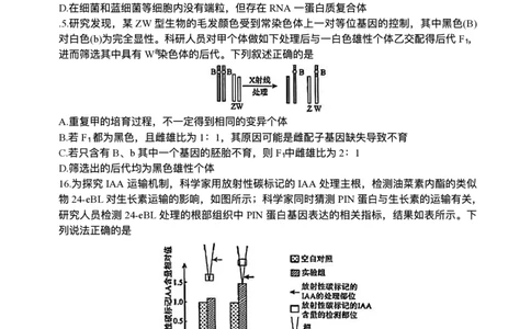 河南省2024-2025学年高三下学期金科新未来5月联考生物（含答案）_2025年5月_250520河南省金科新未来2025届高三下学期5月联考